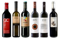 Organic wine pure tasting subscription with 10 % price reduction