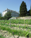 organic wine Loire Valley