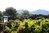 Domaine des Terres Blanches, Les Baux de Provence, AOP,  rosé, organic wine, from € 15.55
