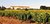 Domaine Ortola Languedoc AOP rot, biodynamischer Wein, ab € 9,95