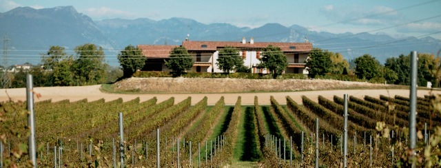 Cantina_Loda-vineyard-winery
