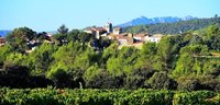 Organic wine Languedoc Roussillon, biodynmaic wine Languedoc Roussillon