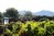 Domaine des Terres Blanches Les Baux de Provence, AOP, rouge, Biowein