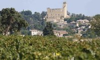 Vins bio Rhône, vin biodynamique Rhône, vin bio Châteauneuf du Pape