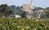 Vins bio Rhône, vin biodynamique Rhône, vin bio France