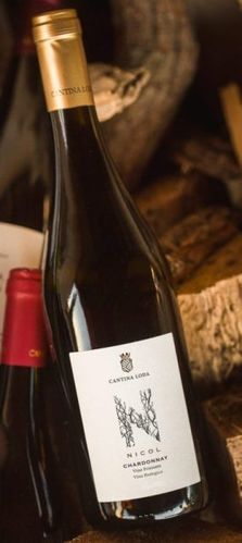 Cantina Loda, NICOL, Chardonnay, vin bio petillant, de 14,50€