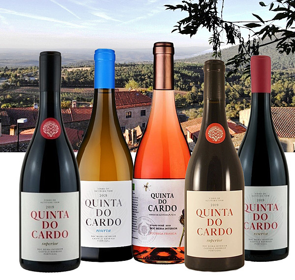 Quinta-do-Cardo-Portugal-Winery