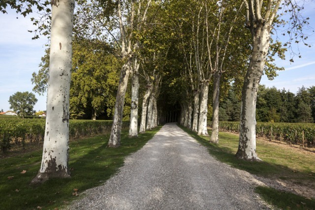 On-the-way-to-Château-Mazeyres